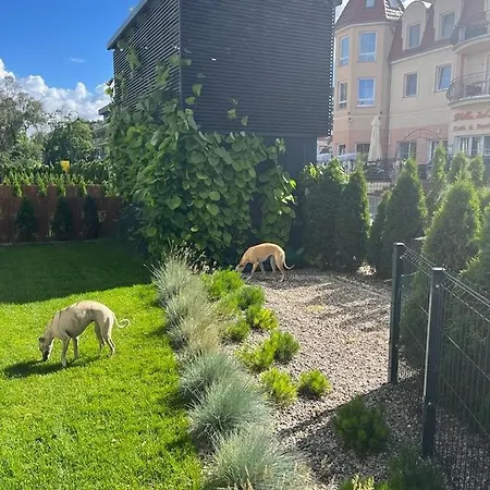 108 Prestige By The Z Basenem I 아파트 *