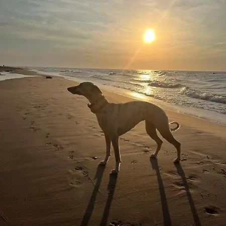 Διαμέρισμα 108 Prestige By The Z Basenem I Niechorze