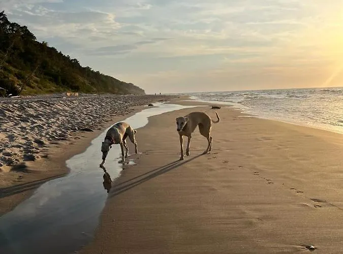 108 Prestige By The Z Basenem I * 尼彻兹