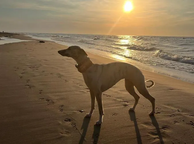 Appartement 108 Prestige By The Z Basenem I Niechorze